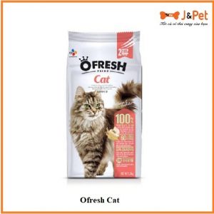 Ofresh Cat