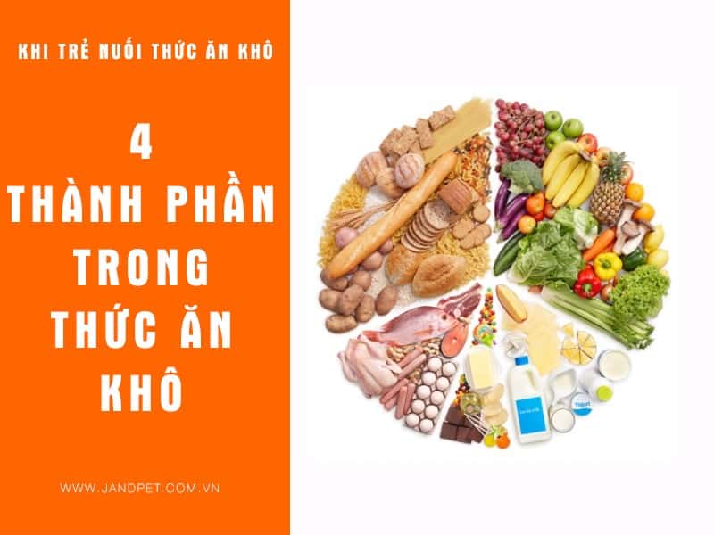 4 Thanh Phan Trong Thuc An Kho