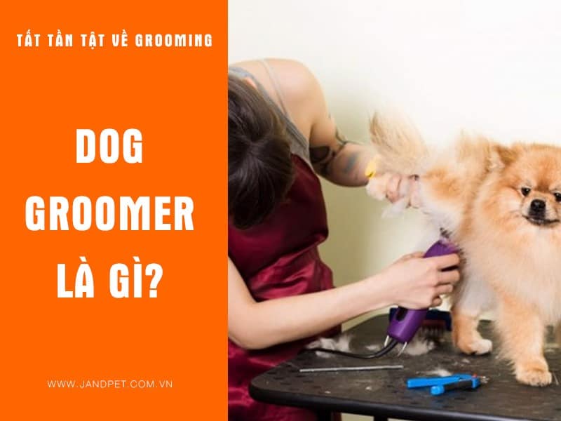 Dog Groomer La Gi