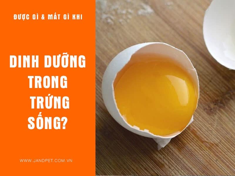 Dinh Duong Trong Trung Song