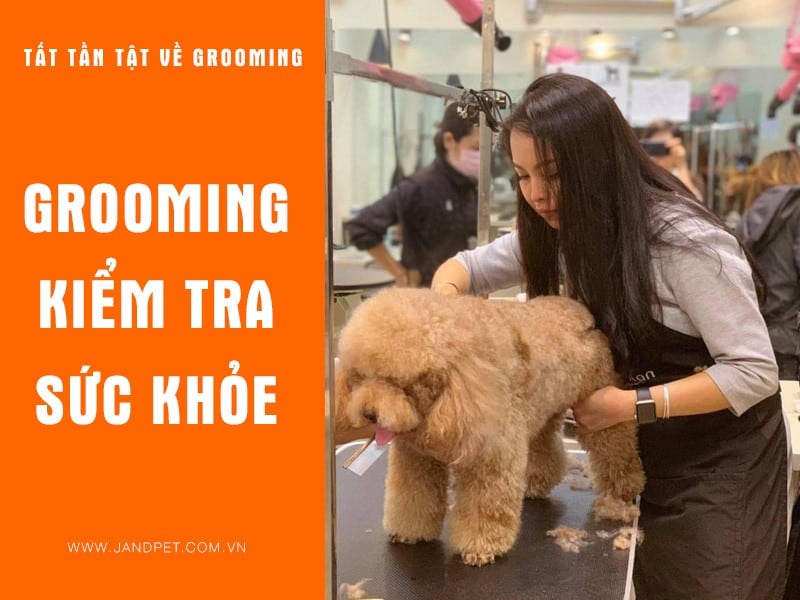 Grooming Kiem Tra Suc Khoe