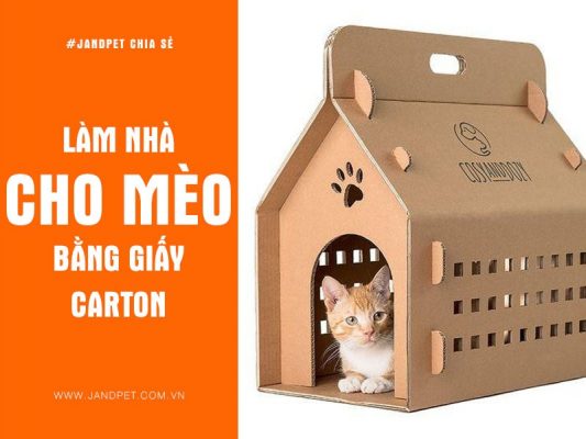 Lam Nha Cho Meo Bang Giay Carton