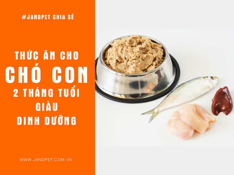 Thuc Anh Cho Cho Con 2 Thang Tuoi